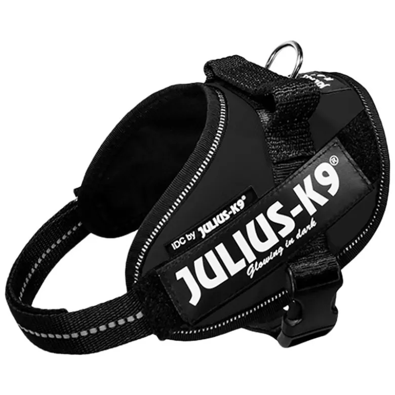 JULIUS-K9 IDC® sæt: sort hundesele + gummieret dobbeltsnor