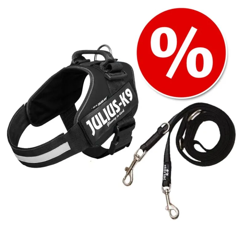 JULIUS-K9 IDC® sæt: sort hundesele + gummieret dobbeltsnor