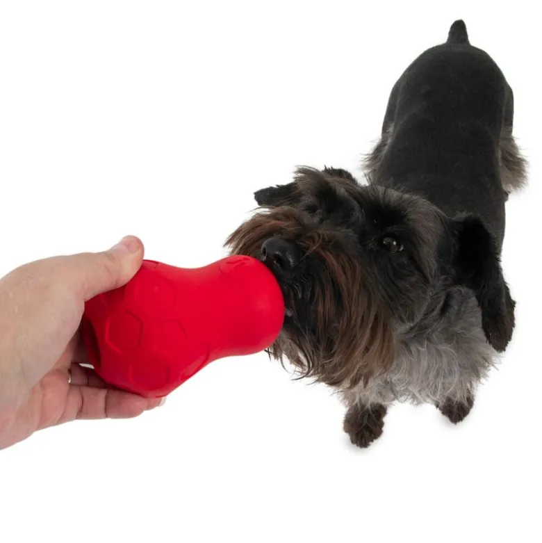 JW Tumble Teez Treat Toy