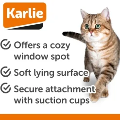 Karlie Hængeseng Willo