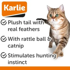 Karlie Kitty Wonderball