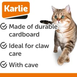 Karlie Kradsehule Telly