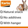Karlie Majskolbe til gnaver