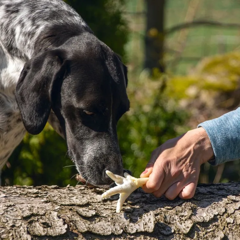 Karlie puffede hønsefødder hundesnack