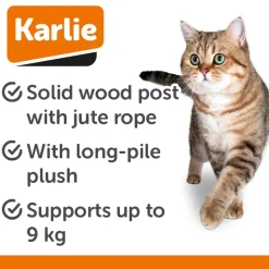Karlie Shima Vægmontering Kradsetræ