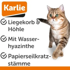 Karlie vandhyacint kradsemøbel Sombra L