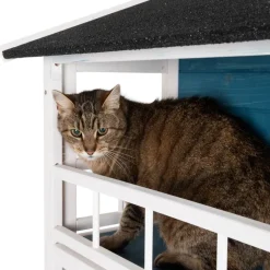 Kattehus Penthouse