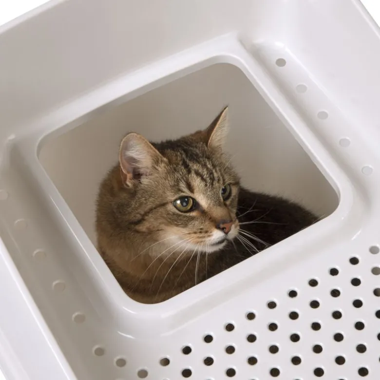 Kattetoilet Big Box