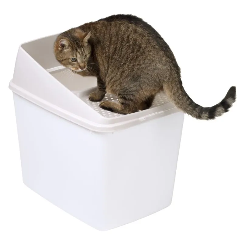 Kattetoilet Big Box
