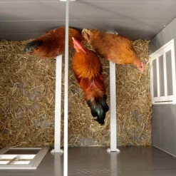 Kerbl Hobbyfarming ECO plasthus Barney til høns