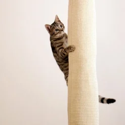 Kerbl klatrepose Climber til katte