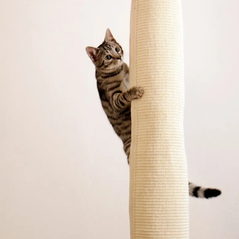 Kerbl klatrepose Climber til katte