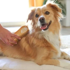 Kerbl MagicBrush Soft Sandstorm til hunde