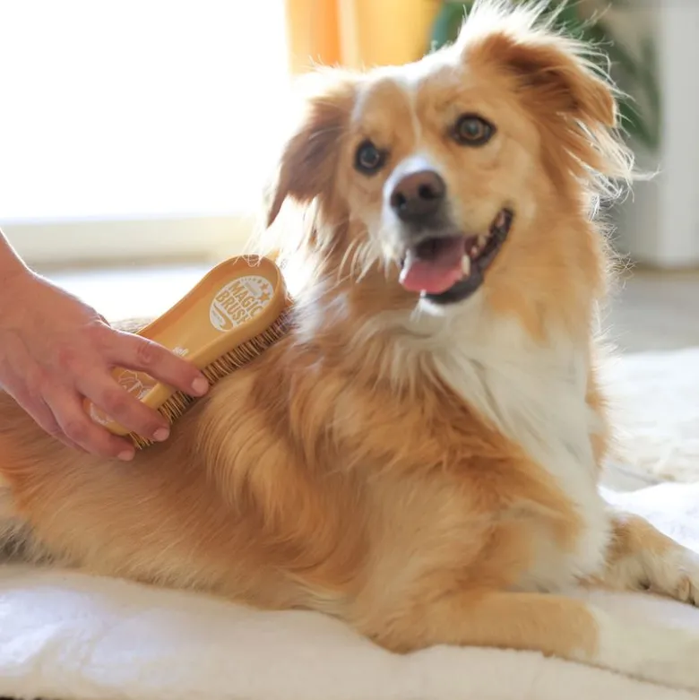 Kerbl MagicBrush Soft Sandstorm til hunde