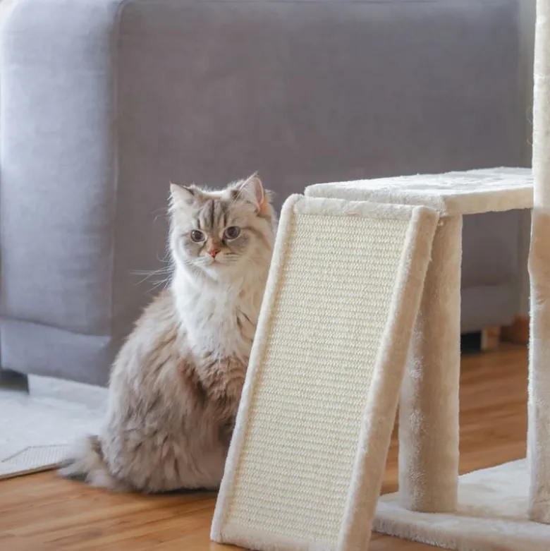 Kerbl Pet kradsetræ Alessia, beige
