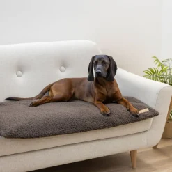 Kerbl Pet multifunktionel madras