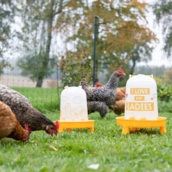 Kerbl Pet plastdrikketrug "Ladies" til høns