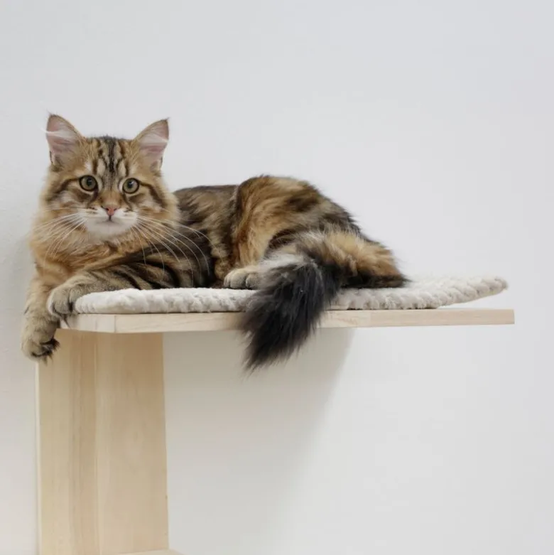 Kerbl Pet Timber vægkradsetræ til katte