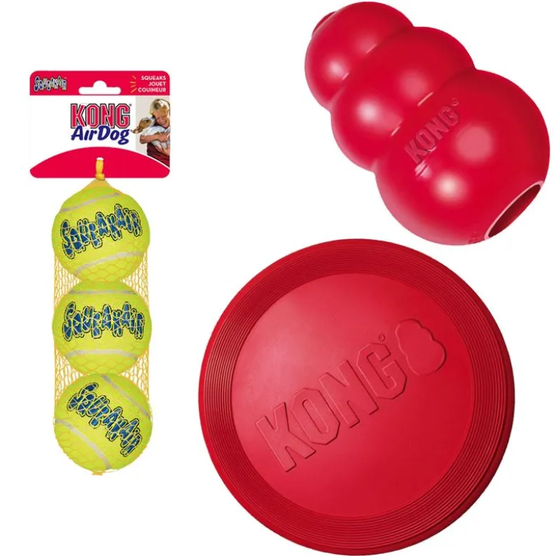 KONG økonomisæt: Frisbee, KONG Classic, tennisbolde