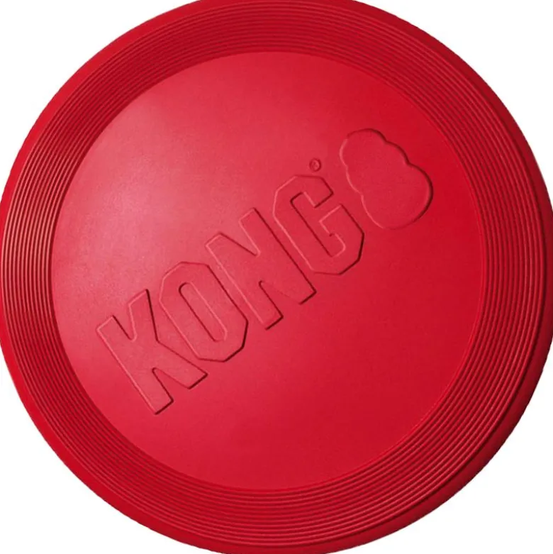 KONG økonomisæt: Frisbee, KONG Classic, tennisbolde
