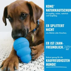 KONG legetøj til hundehvalpe