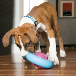 KONG Puppy Gyro