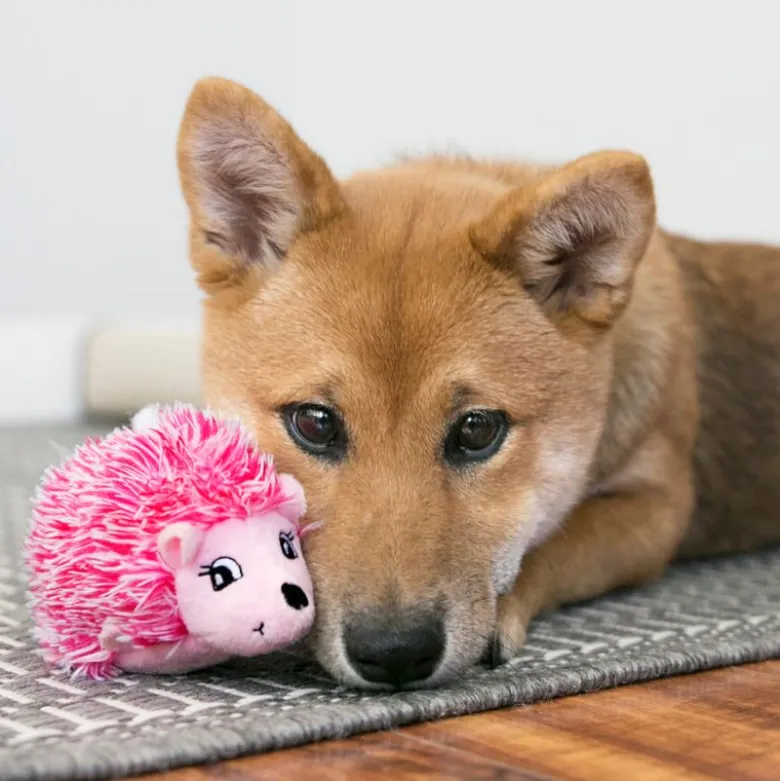 KONG Puppy plysdyr HedgeHug
