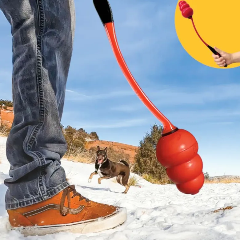 KONG Signature Throw hundelegetøj