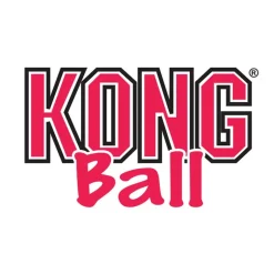 KONG snackbold med hul