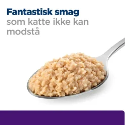 Økonomipakke: Hill's Prescription Diet hundefoder (48 dåser)