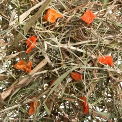 Økonomipakke: Lillebro enghø med æble, mælkebøtte eller gulerod