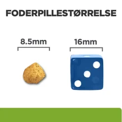 Økonomipakke: 2 / 3 poser Hill's Prescription Diet kattemad