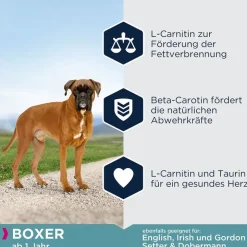 Økonomipakker: Eukanuba Adult Breed Specific tørfoder