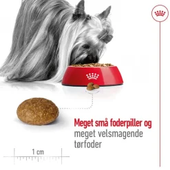 Økonomipakke: 2 store poser Royal Canin Size hundetørfoder