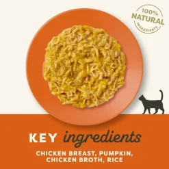 Økonomipakke: 48 x 70 g Applaws Cat Natural i bouillon