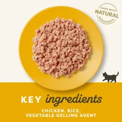 Økonomipakke: 24 x 70 g Applaws Kitten dåser i gelé