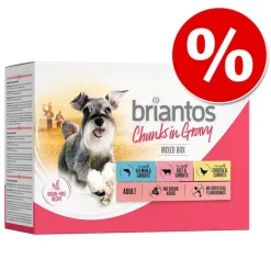 Økonomipakke: 48 x 100 g Briantos Bidder i sauce