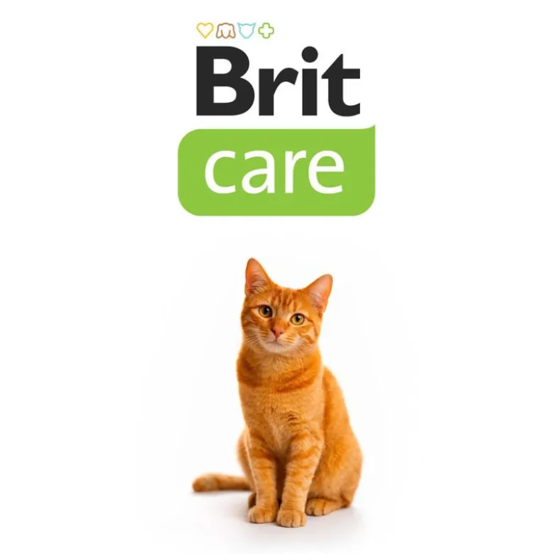 Økonomipakke: 30 x 75 g Brit Care suppe til katte
