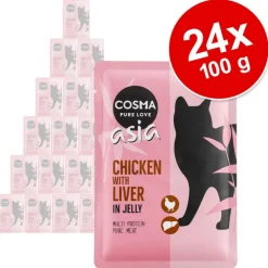 Økonomipakke: 24 x 100 g Cosma Asia portionspose