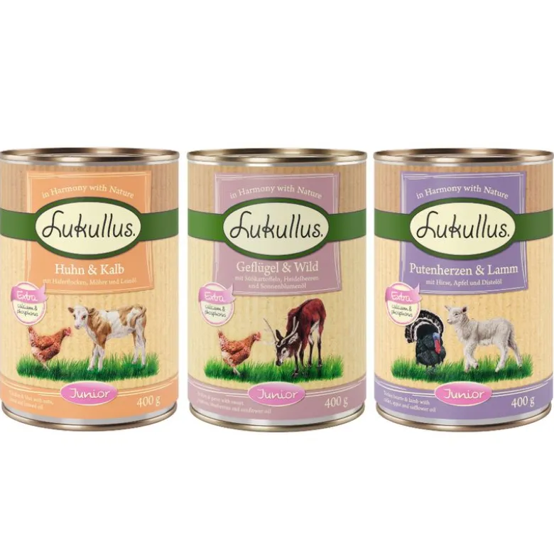 Økonomipakke: 24 x 400 g Lukullus Adult
