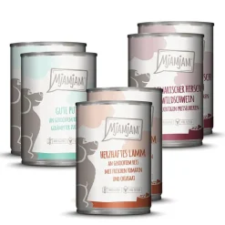 Økonomipakke: 24 x 400 g MjAMjAM Adult Hund
