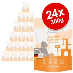 Økonomipakke: 24 x 300 g MjAMjAM Squeeze