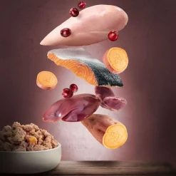Økonomipakke: 24 x 200 g Purizon Adult
