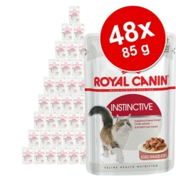 Økonomipakke: 48 x 85 g Royal Canin