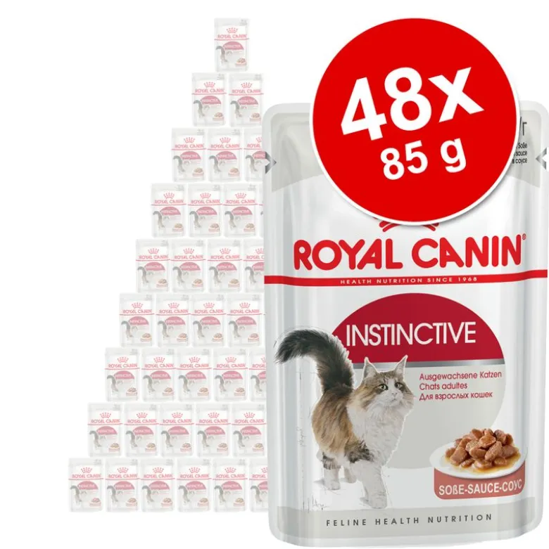Økonomipakke: 48 x 85 g Royal Canin