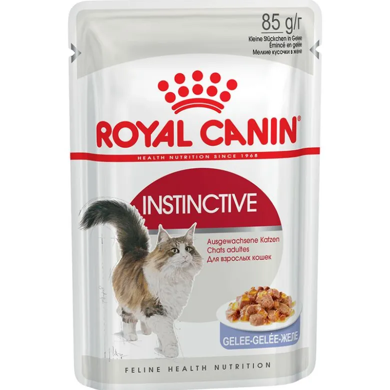 Økonomipakke: 48 x 85 g Royal Canin