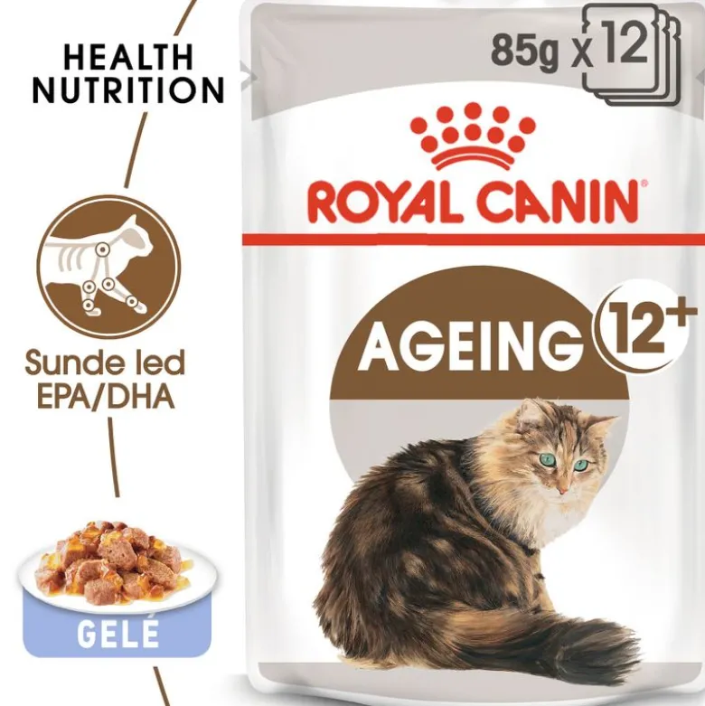 Økonomipakke: 48 x 85 g Royal Canin