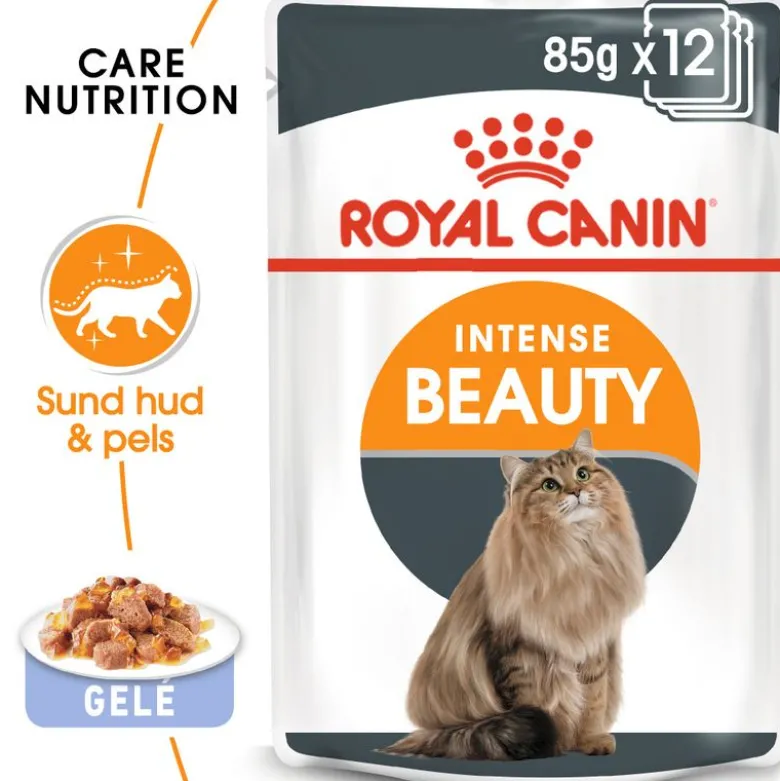 Økonomipakke: 48 x 85 g Royal Canin