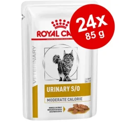 Økonomipakke: 24 x 85 g Royal Canin Veterinary Feline