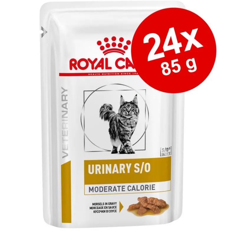 Økonomipakke: 24 x 85 g Royal Canin Veterinary Feline